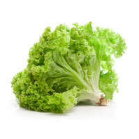 Green Leaf Lettuce, 1 Each